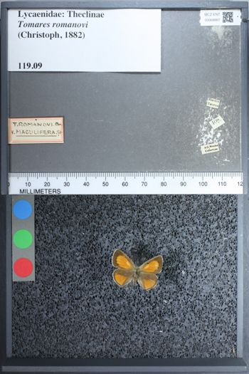 Media type: image;   Entomology 68887